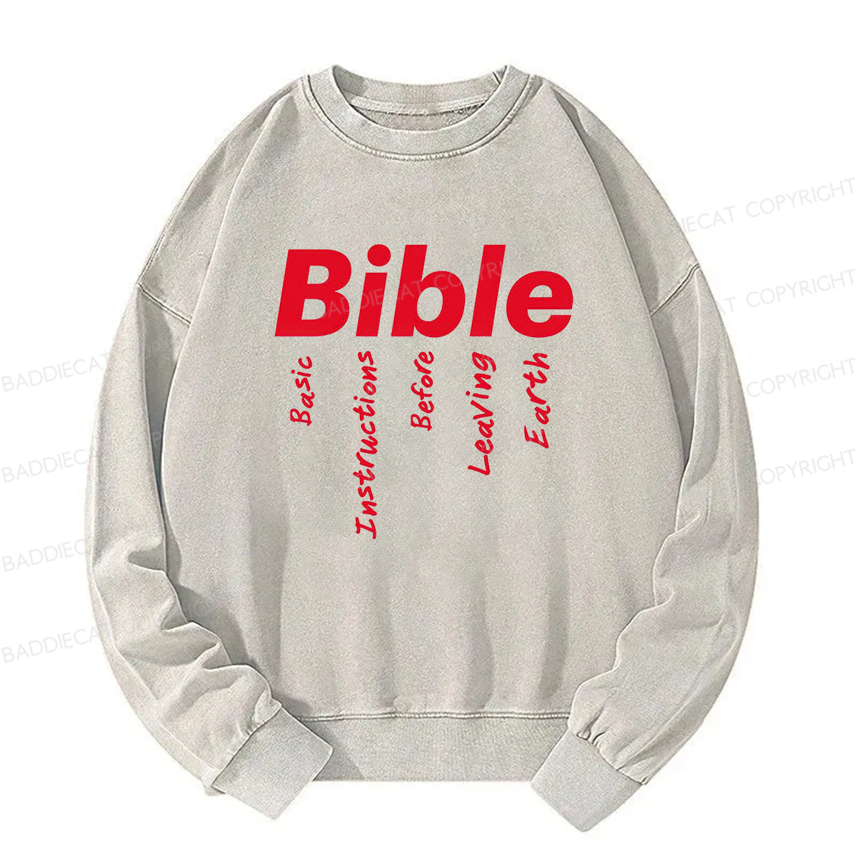 Baddiecat Bible Basic Instructions Before Leaving Earth Washed Sweatshirt