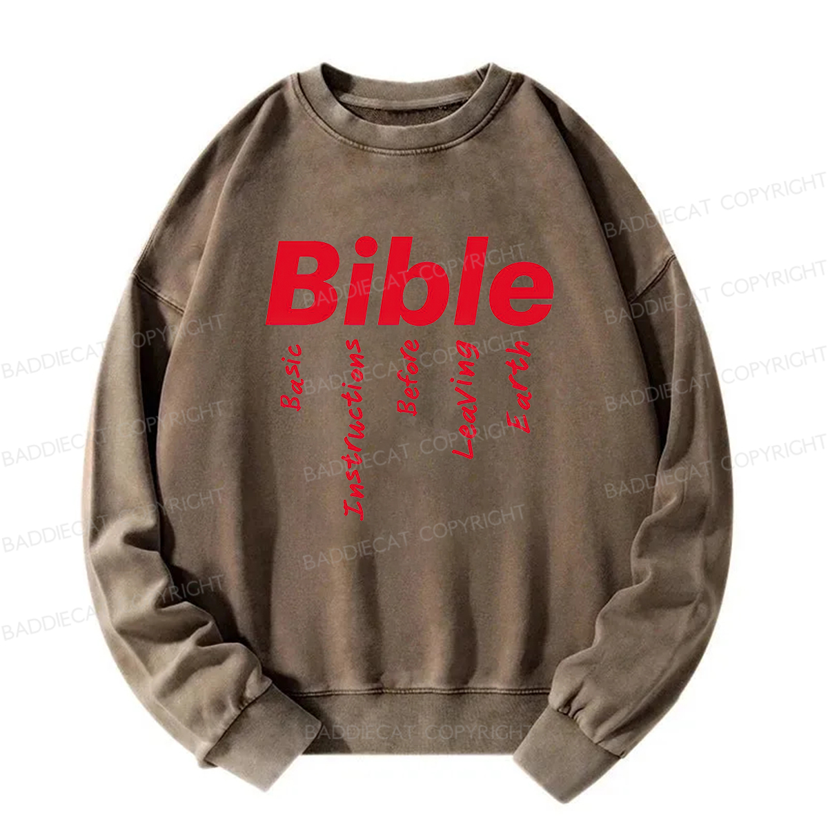 Baddiecat Bible Basic Instructions Before Leaving Earth Washed Sweatshirt