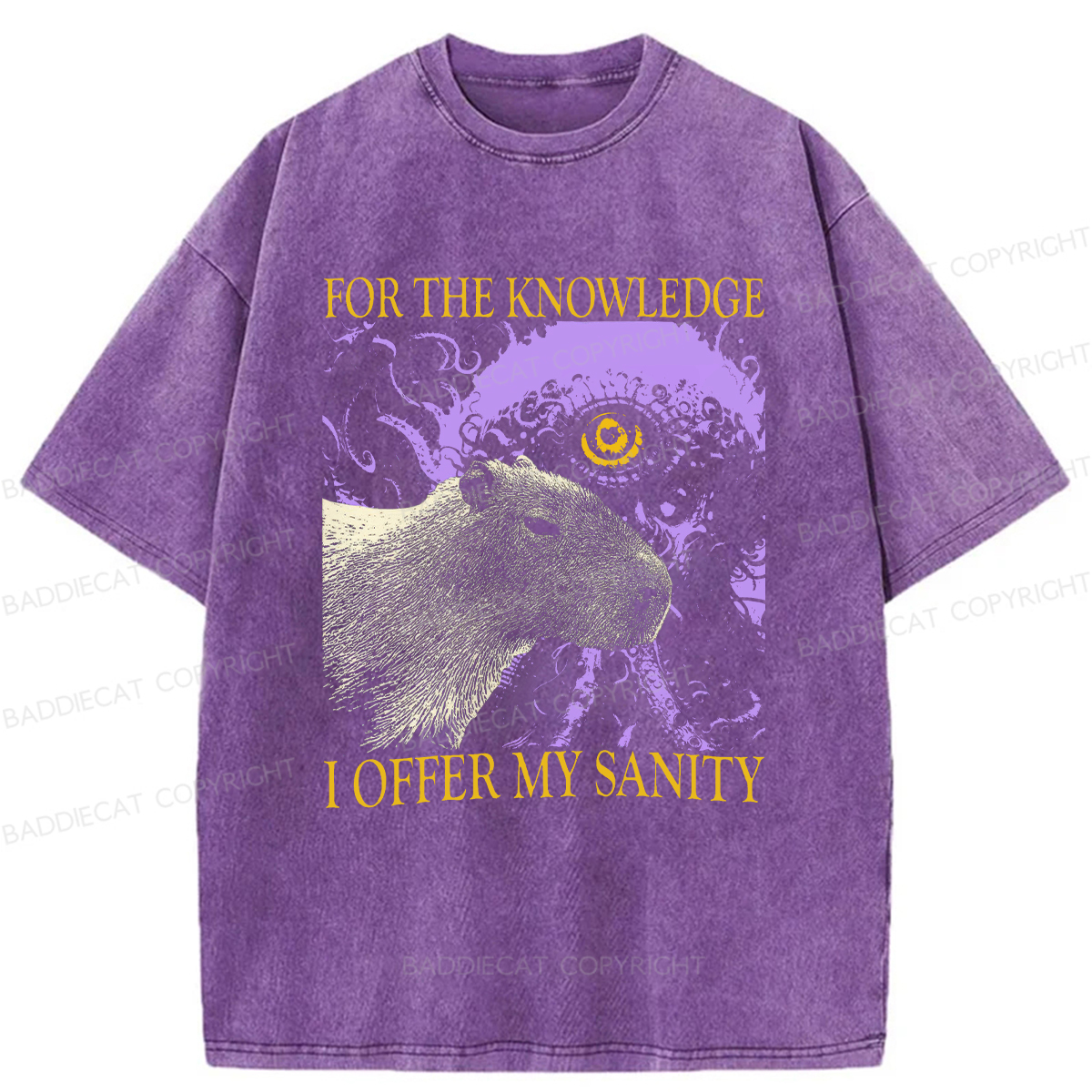 Baddiecat For The Knowledge I Offer My Sanity Funny Capybara Washed T-shirt