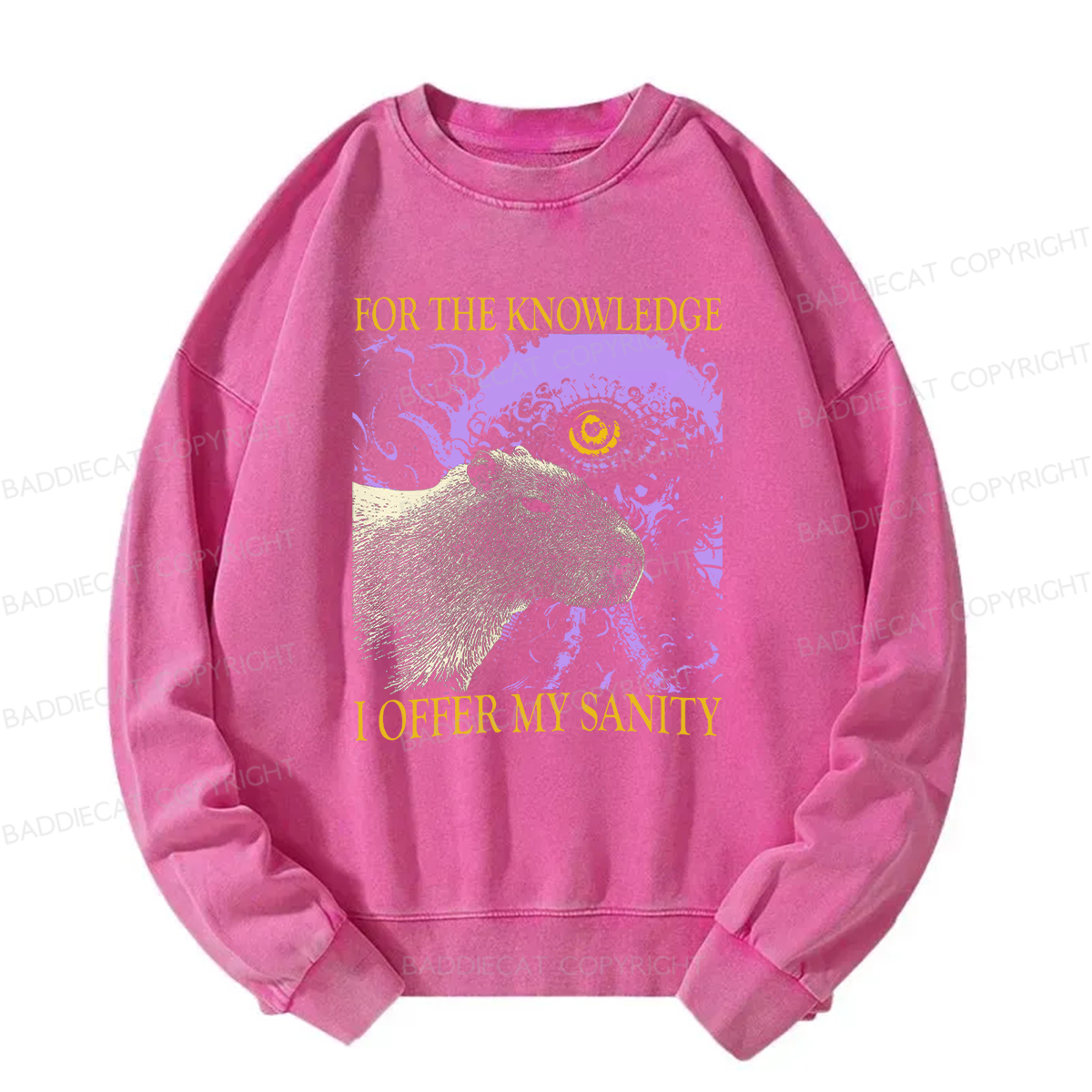 Baddiecat For The Knowledge I Offer My Sanity Funny Capybara Washed Sweatshirt
