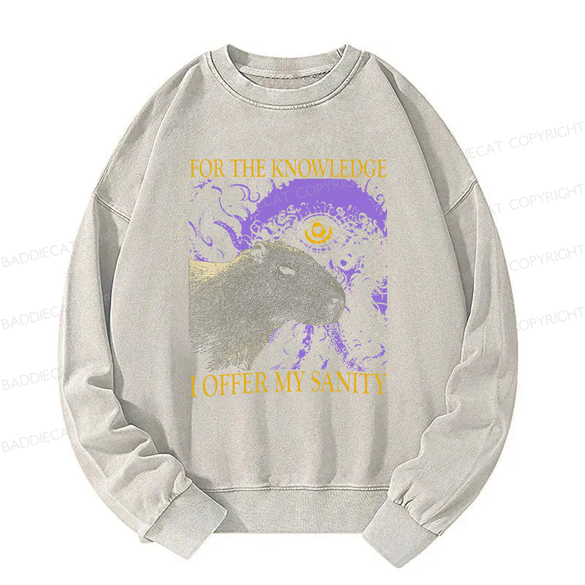 Baddiecat For The Knowledge I Offer My Sanity Funny Capybara Washed Sweatshirt