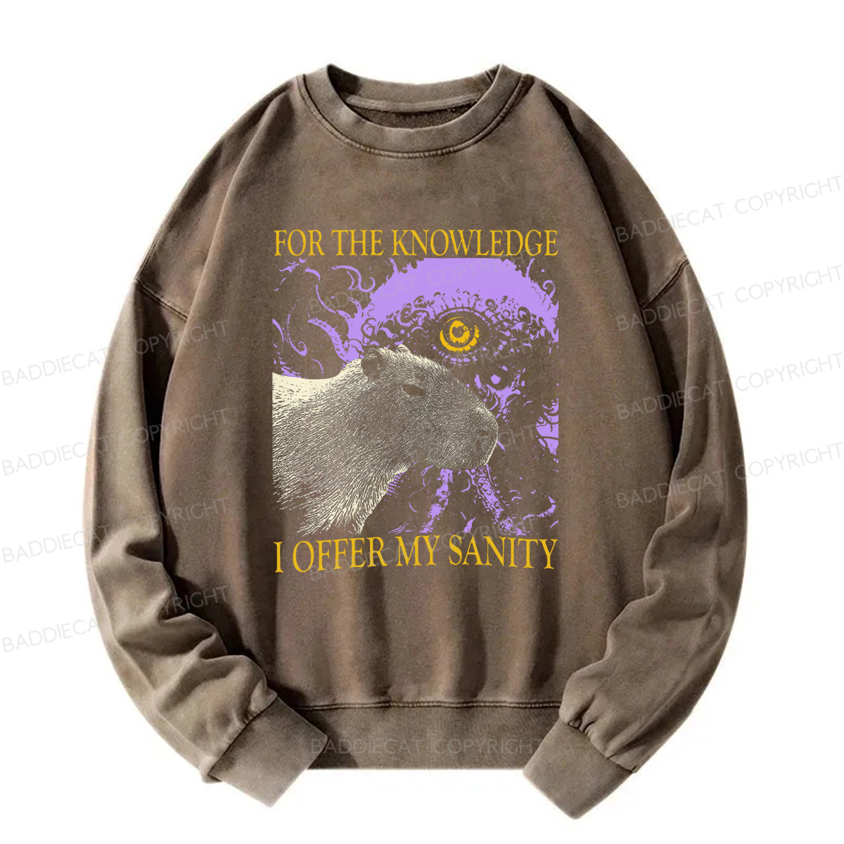 Baddiecat For The Knowledge I Offer My Sanity Funny Capybara Washed Sweatshirt