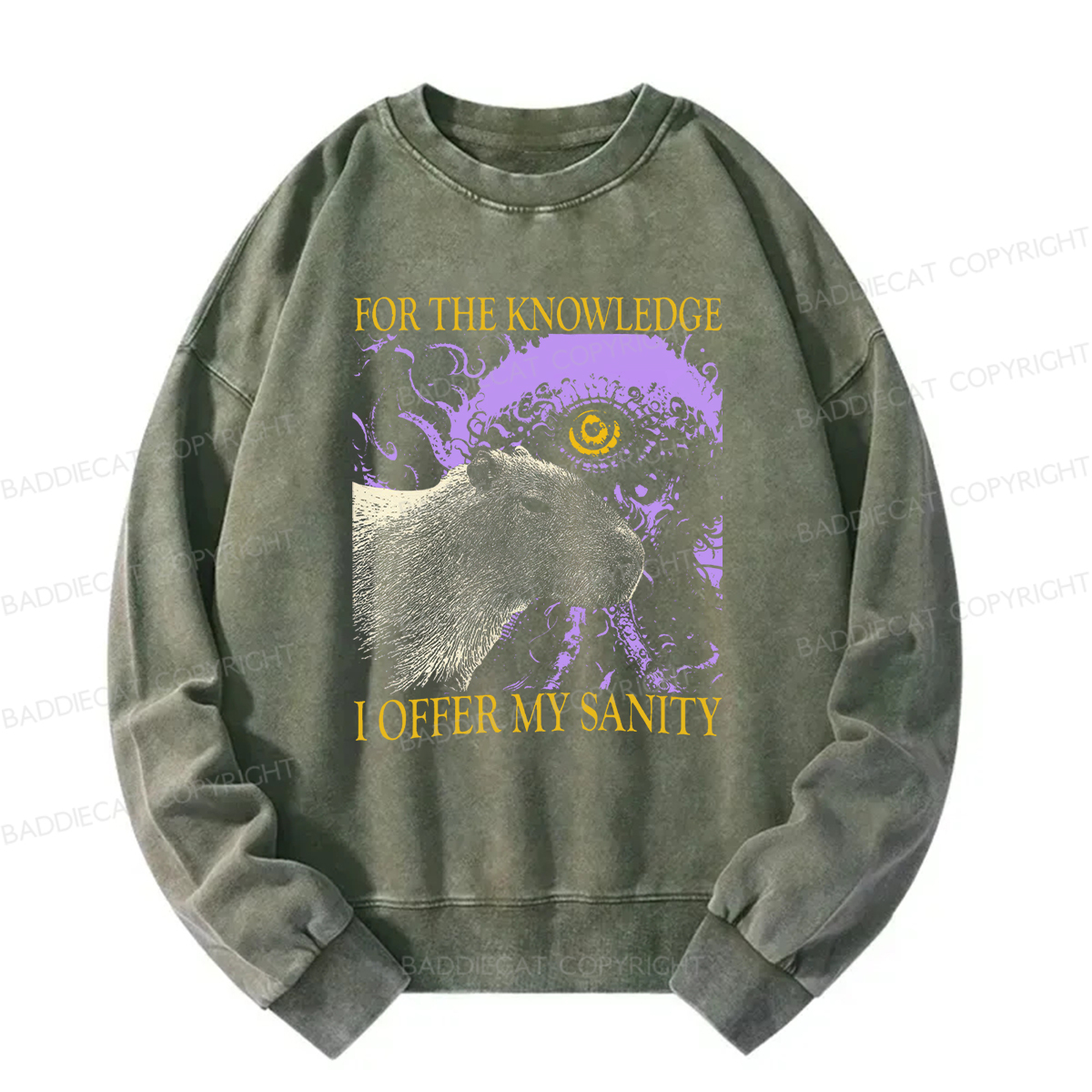 Baddiecat For The Knowledge I Offer My Sanity Funny Capybara Washed Sweatshirt