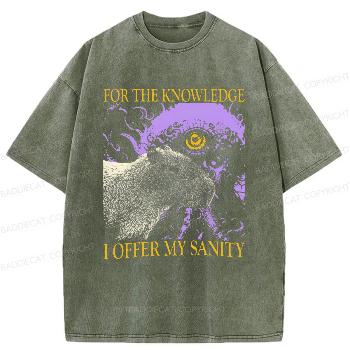 Baddiecat For The Knowledge I Offer My Sanity Funny Capybara Washed T-shirt