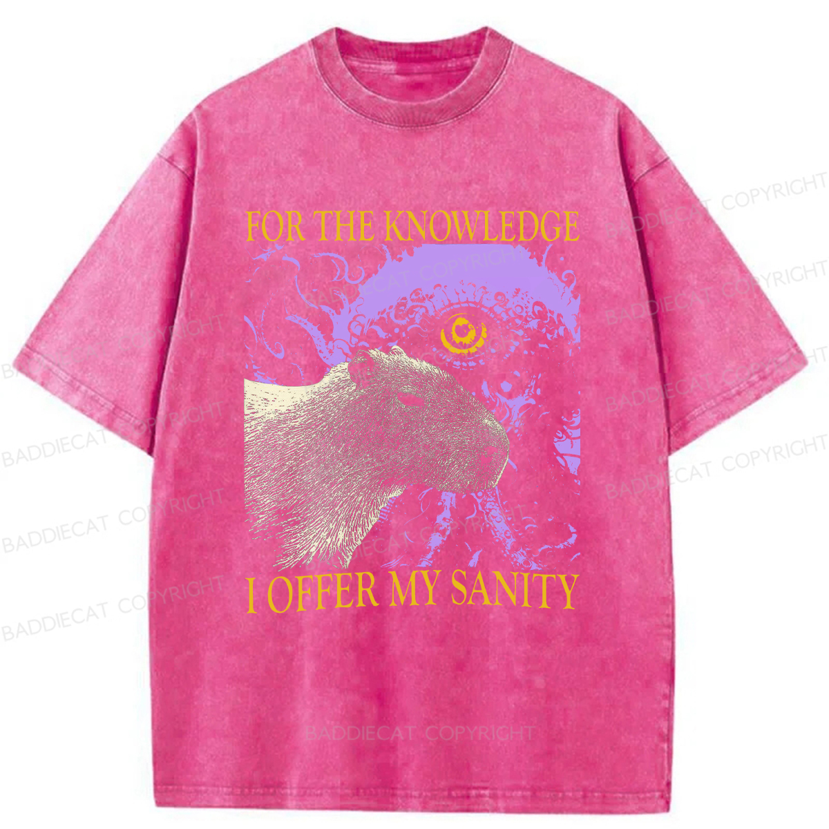 Baddiecat For The Knowledge I Offer My Sanity Funny Capybara Washed T-shirt