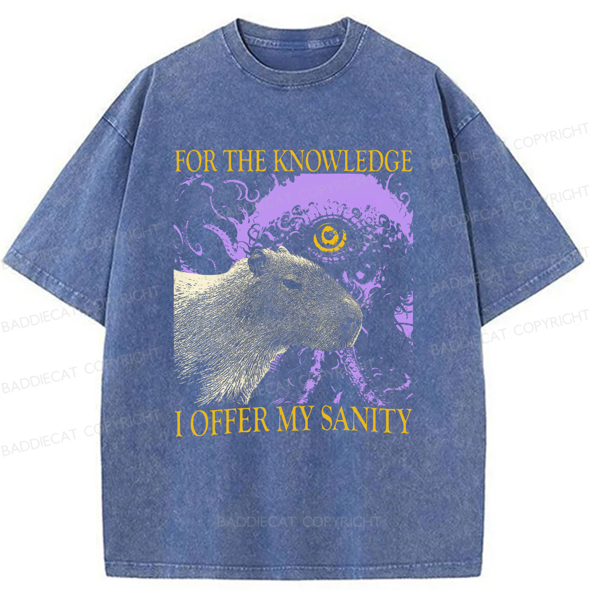 Baddiecat For The Knowledge I Offer My Sanity Funny Capybara Washed T-shirt