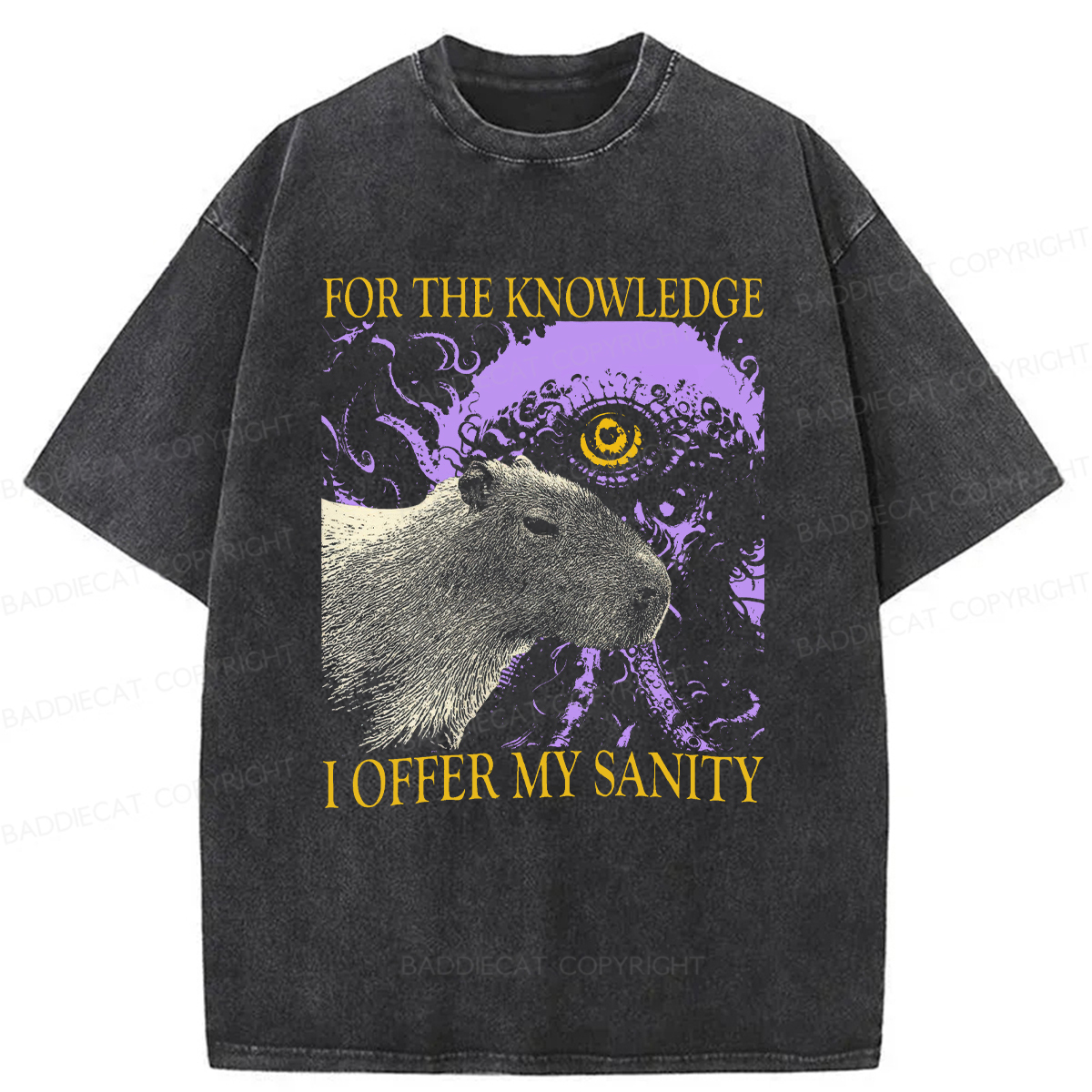 Baddiecat For The Knowledge I Offer My Sanity Funny Capybara Washed T-shirt