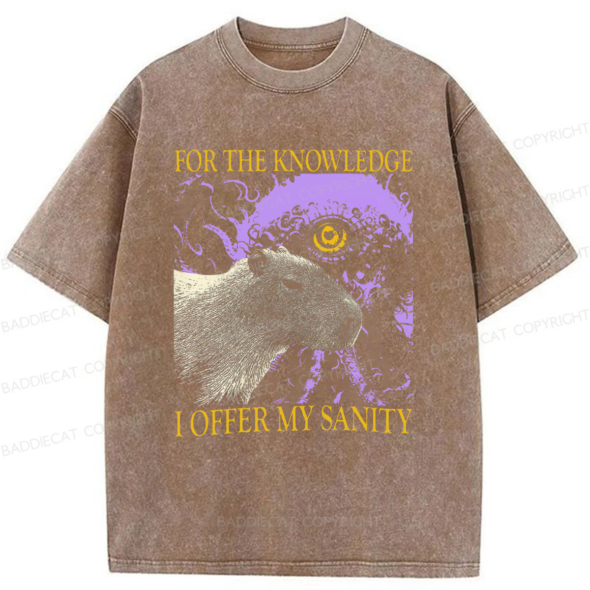 Baddiecat For The Knowledge I Offer My Sanity Funny Capybara Washed T-shirt