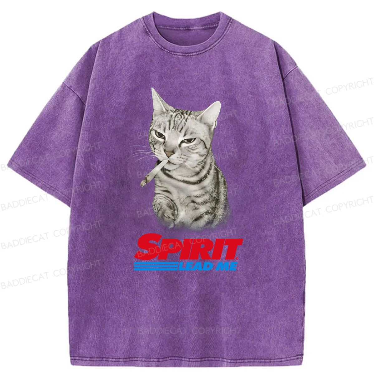 Baddiecat Spirit Lead Me Smoking Cat Washed T-shirt