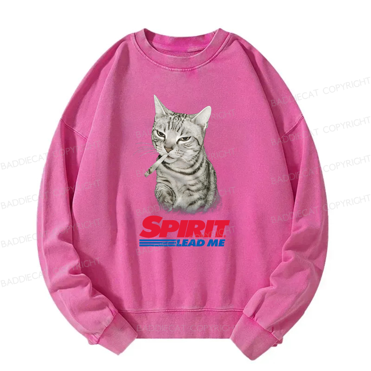 Baddiecat Spirit Lead Me Smoking Cat Washed Sweatshirt