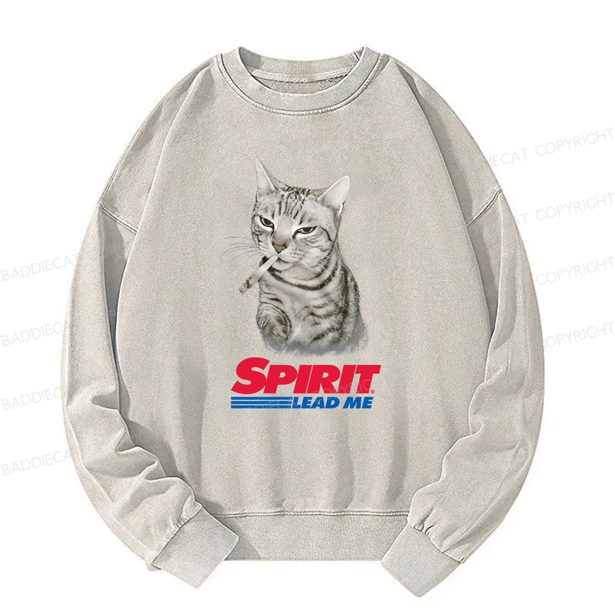 Baddiecat Spirit Lead Me Smoking Cat Washed Sweatshirt