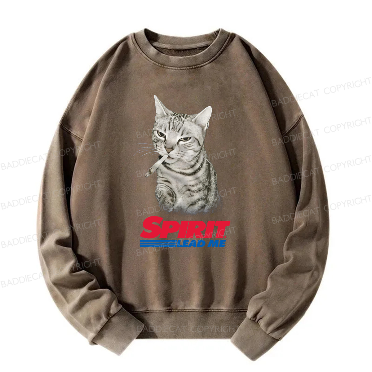 Baddiecat Spirit Lead Me Smoking Cat Washed Sweatshirt