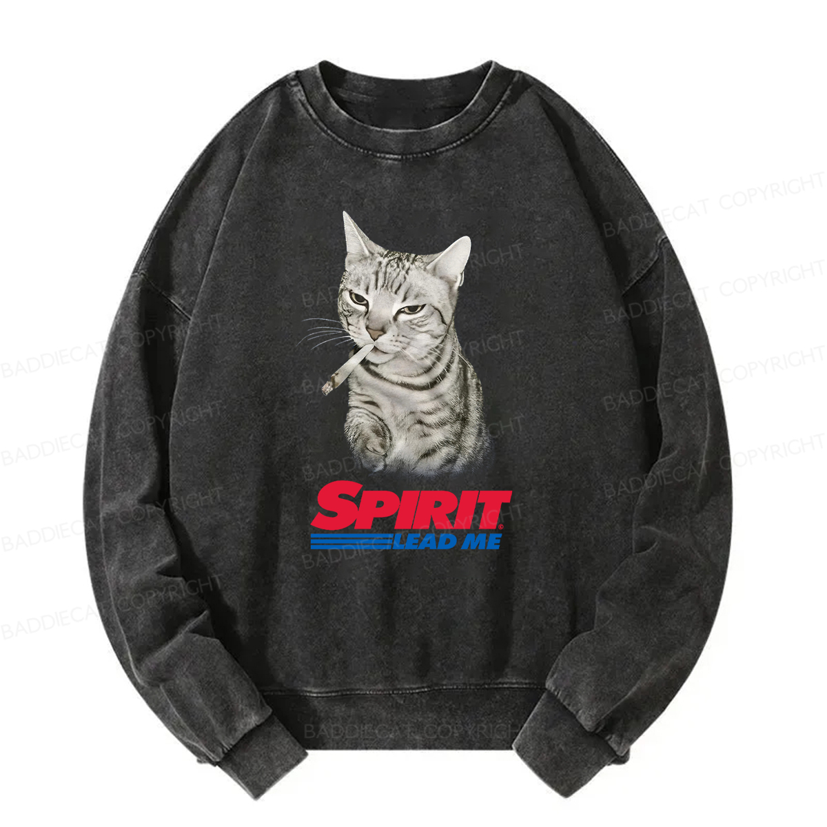 Baddiecat Spirit Lead Me Smoking Cat Washed Sweatshirt