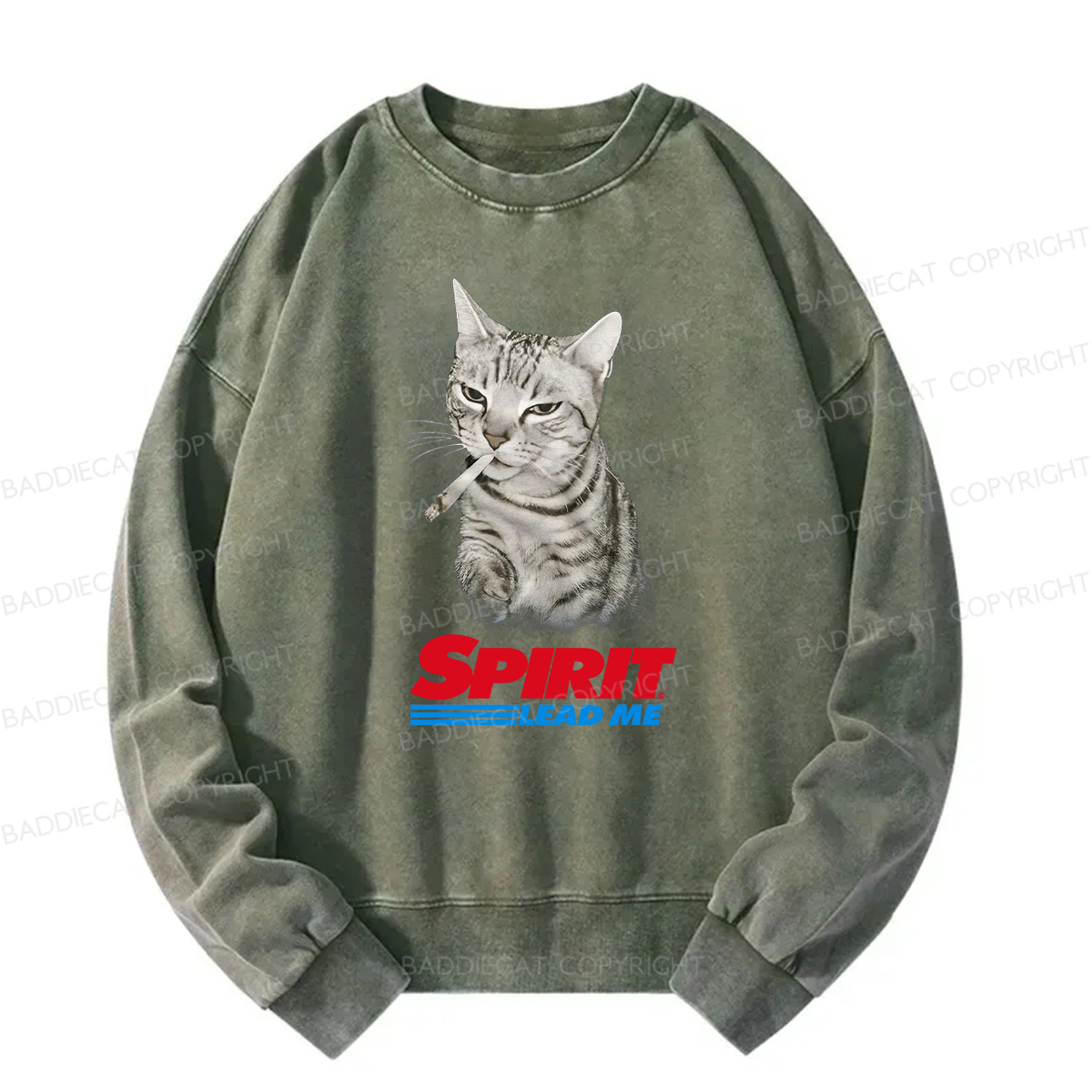 Baddiecat Spirit Lead Me Smoking Cat Washed Sweatshirt