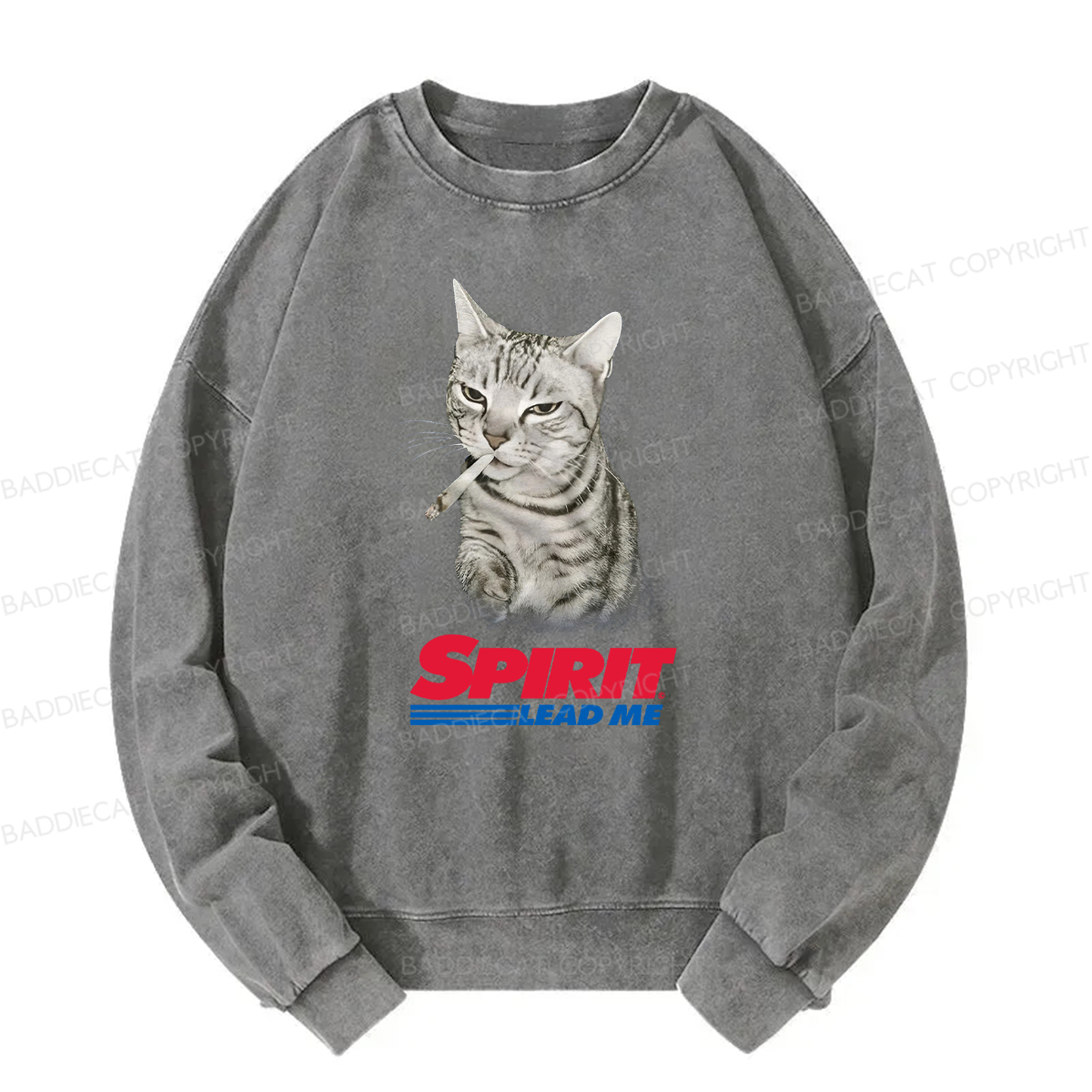 Baddiecat Spirit Lead Me Smoking Cat Washed Sweatshirt