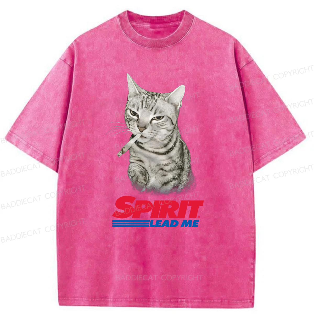 Baddiecat Spirit Lead Me Smoking Cat Washed T-shirt