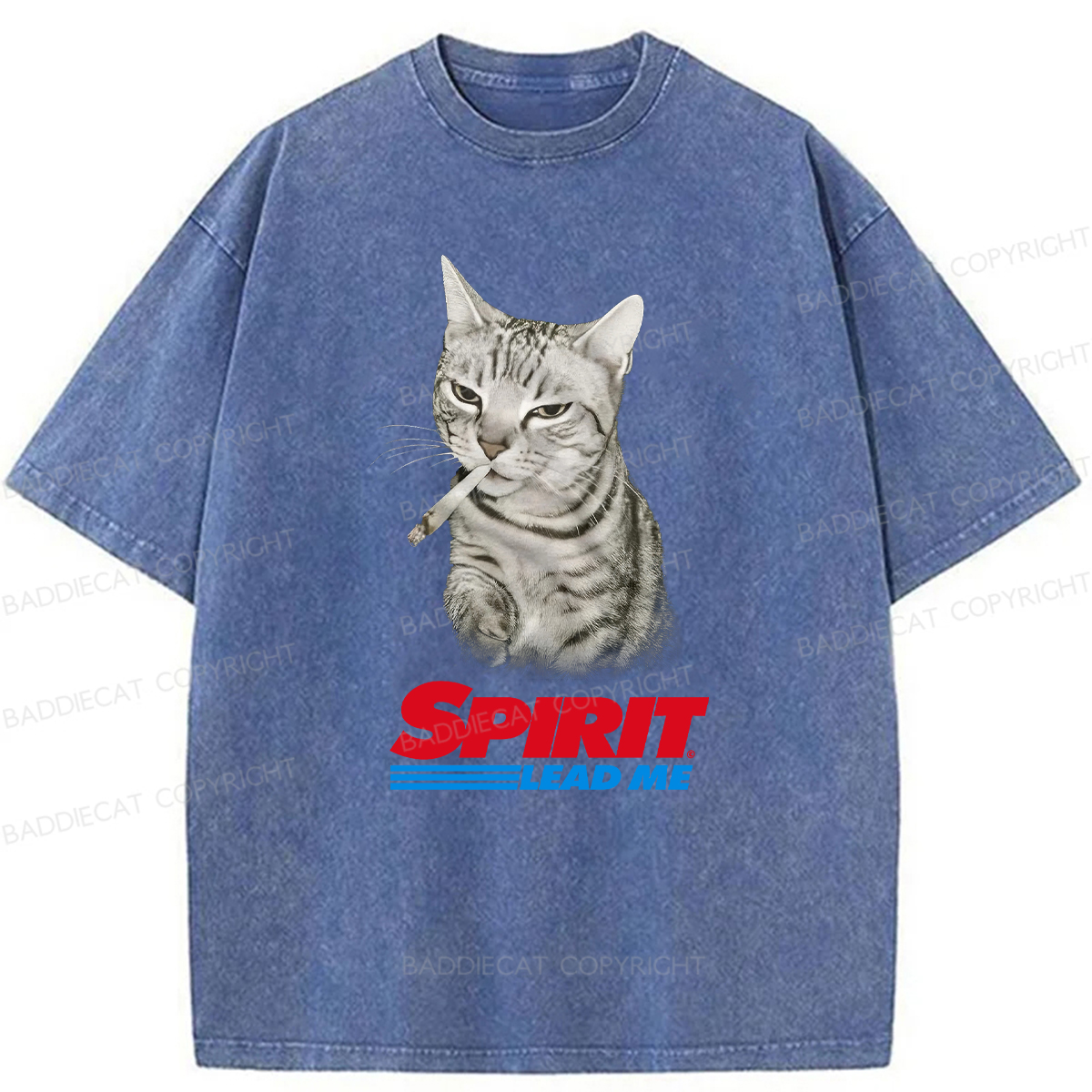 Baddiecat Spirit Lead Me Smoking Cat Washed T-shirt
