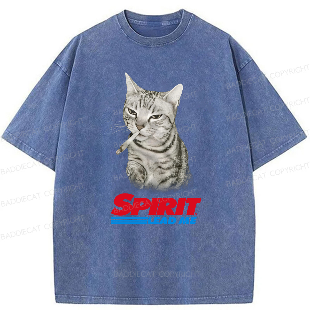 Baddiecat Spirit Lead Me Smoking Cat Washed T-shirt