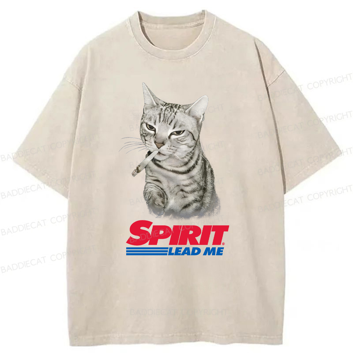 Baddiecat Spirit Lead Me Smoking Cat Washed T-shirt