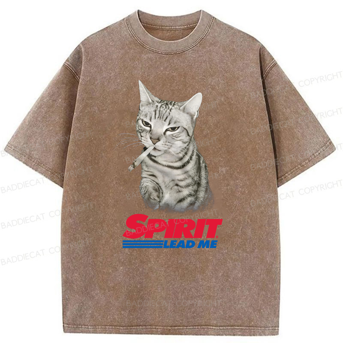 Baddiecat Spirit Lead Me Smoking Cat Washed T-shirt