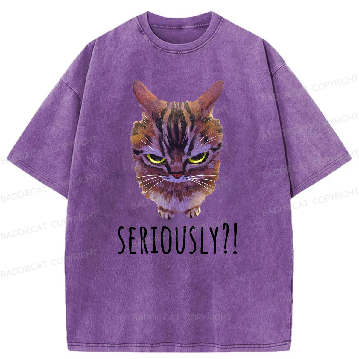 Baddiecat Seriously Funny Cat Meme Washed T-shirt