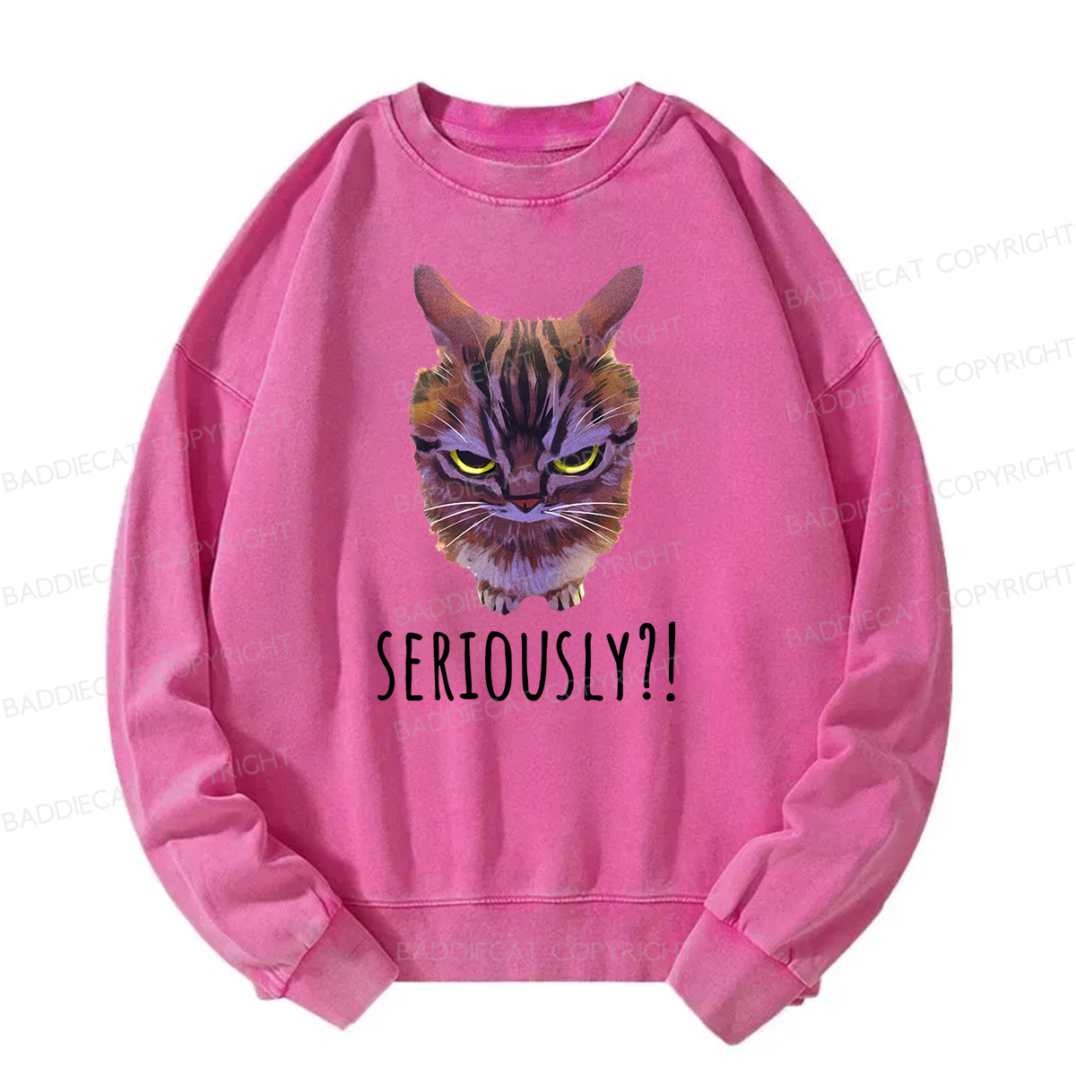 Baddiecat Seriously Funny Cat Meme Washed Sweatshirt