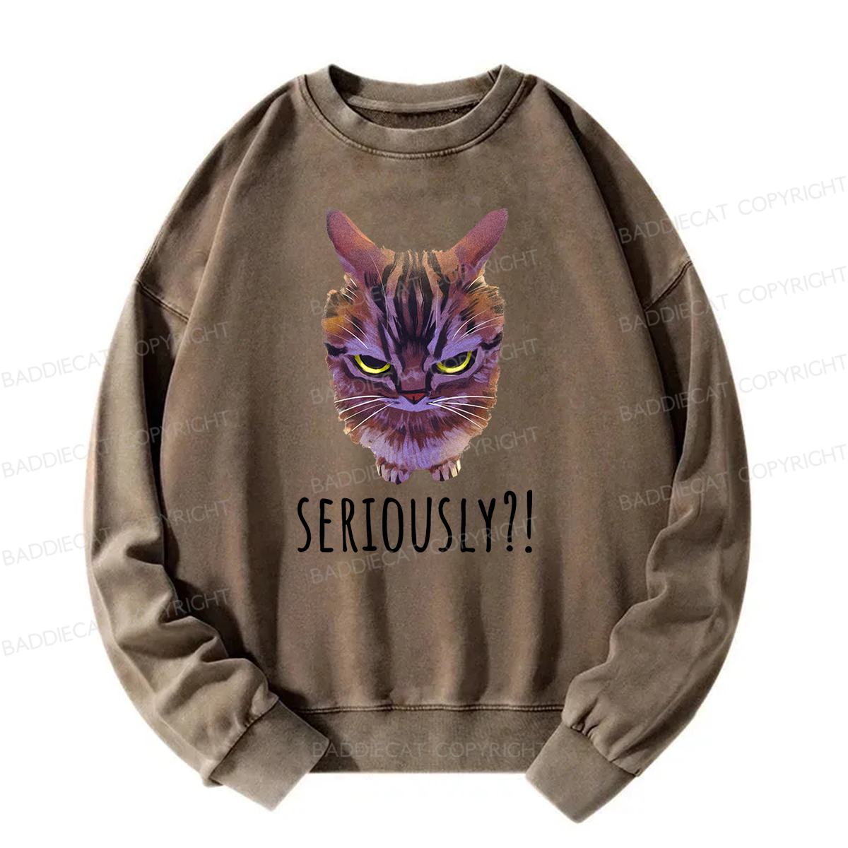 Baddiecat Seriously Funny Cat Meme Washed Sweatshirt