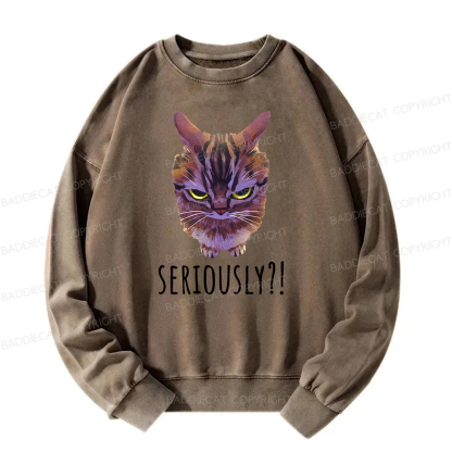 Baddiecat Seriously Funny Cat Meme Washed Sweatshirt