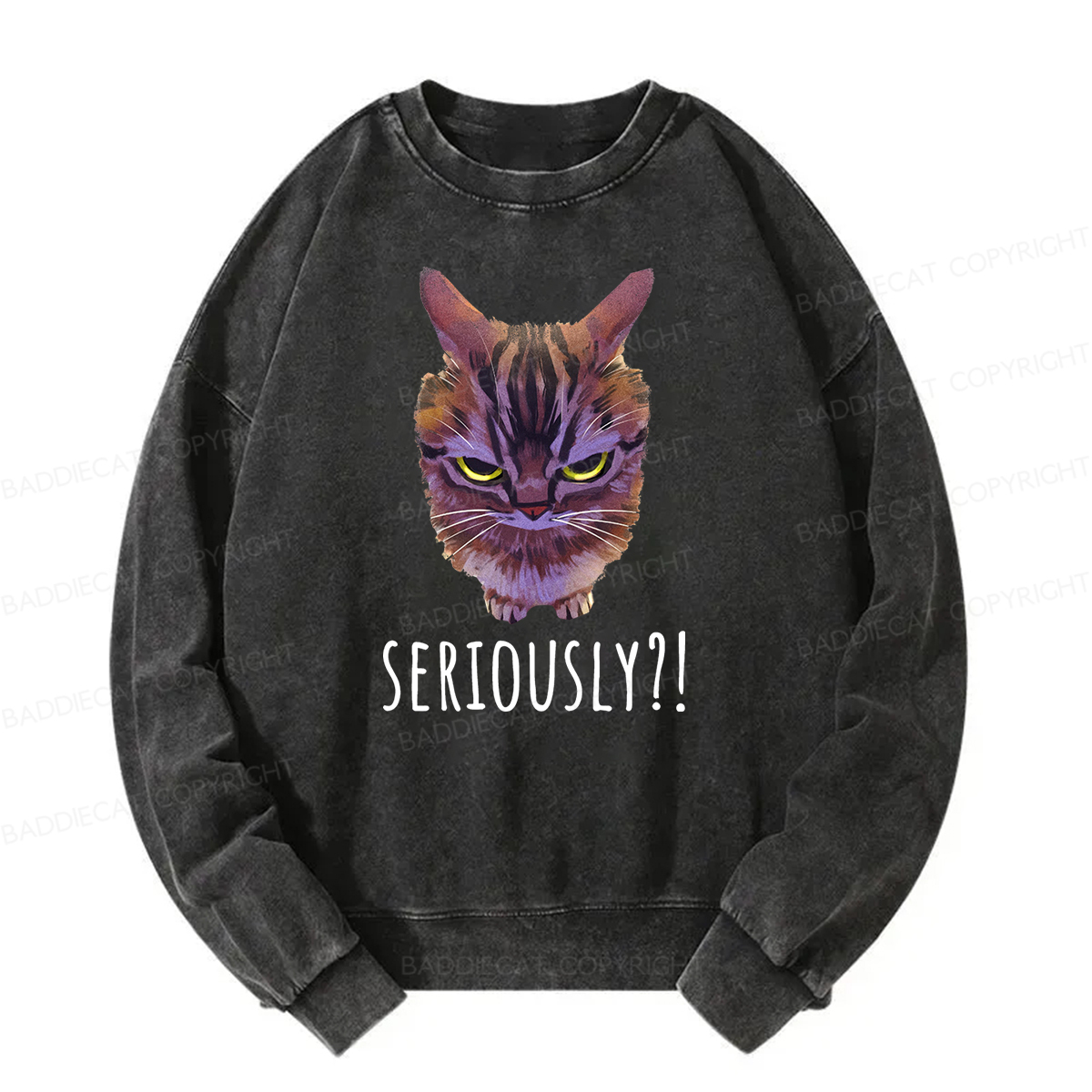 Baddiecat Seriously Funny Cat Meme Washed Sweatshirt