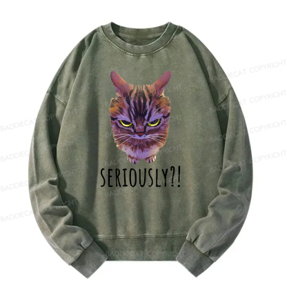 Baddiecat Seriously Funny Cat Meme Washed Sweatshirt