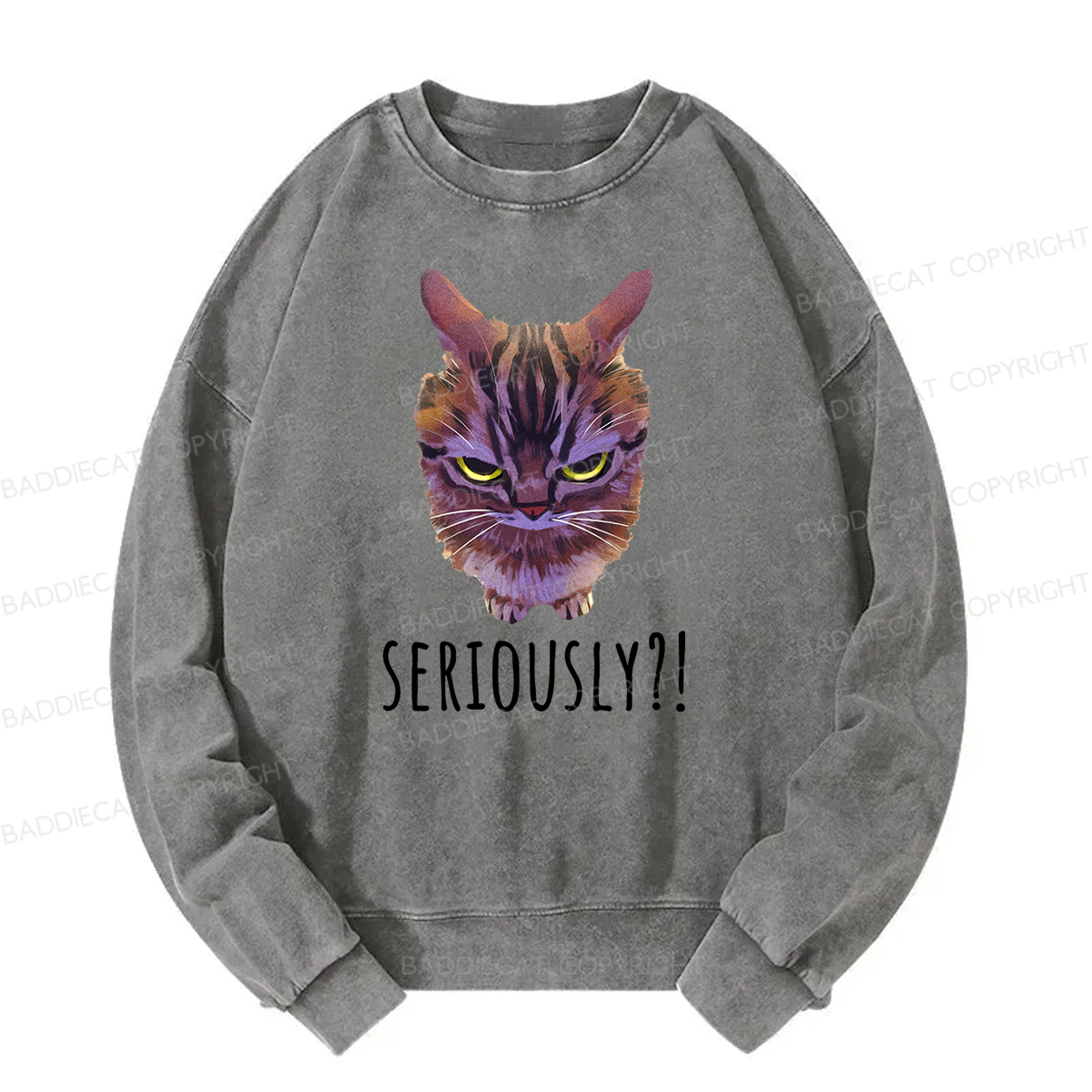 Baddiecat Seriously Funny Cat Meme Washed Sweatshirt