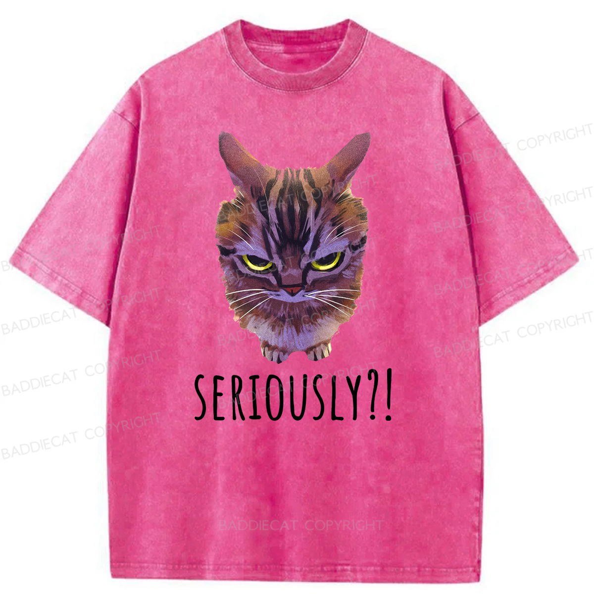 Baddiecat Seriously Funny Cat Meme Washed T-shirt
