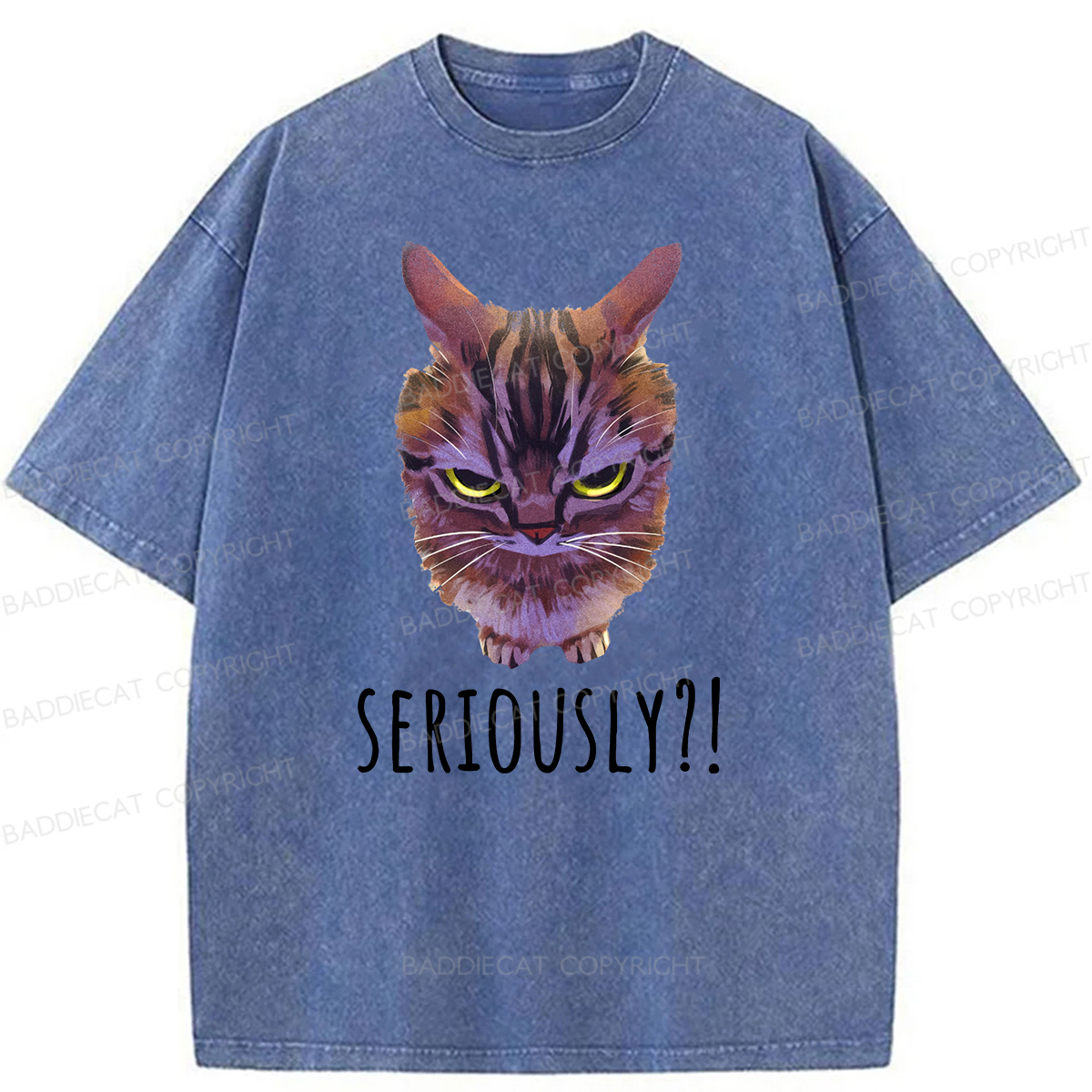 Baddiecat Seriously Funny Cat Meme Washed T-shirt