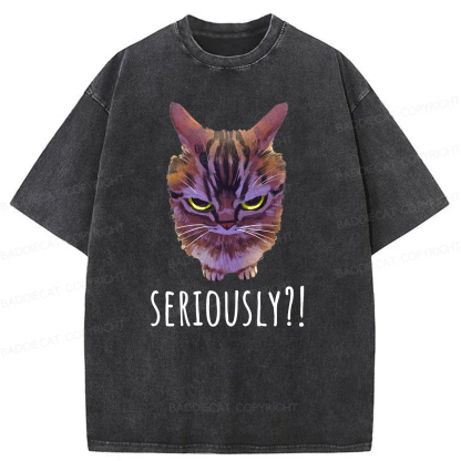 Baddiecat Seriously Funny Cat Meme Washed T-shirt
