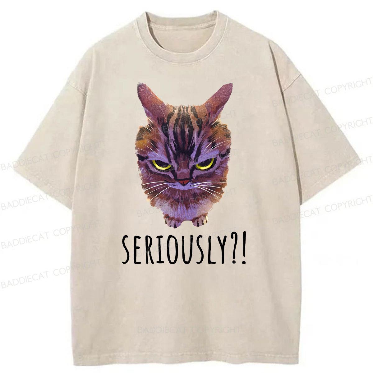 Baddiecat Seriously Funny Cat Meme Washed T-shirt