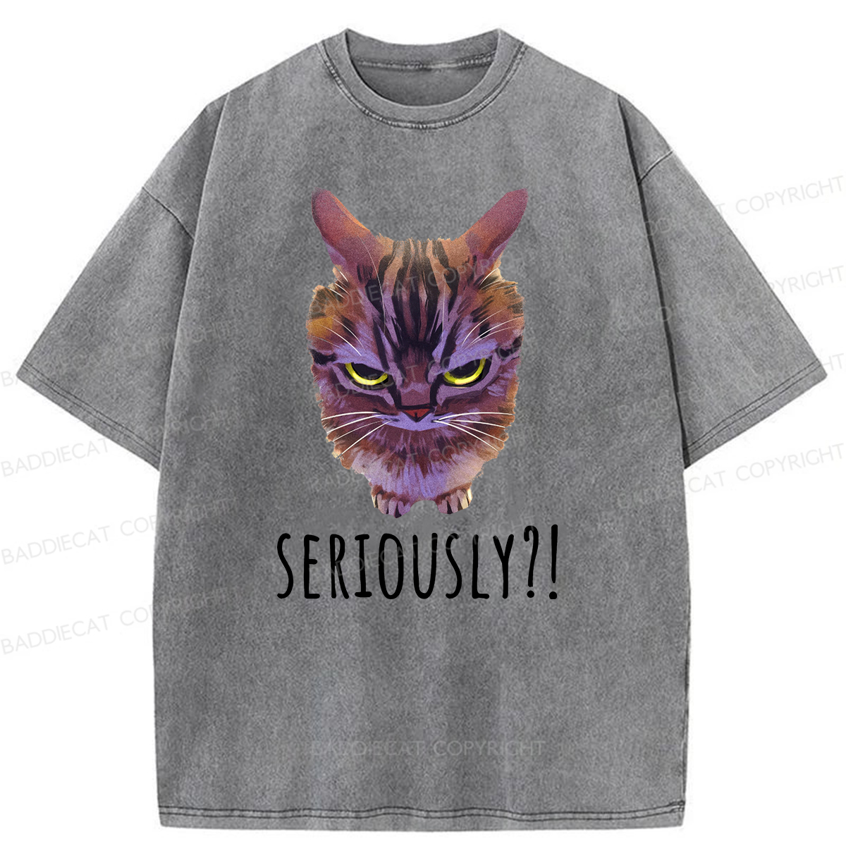 Baddiecat Seriously Funny Cat Meme Washed T-shirt