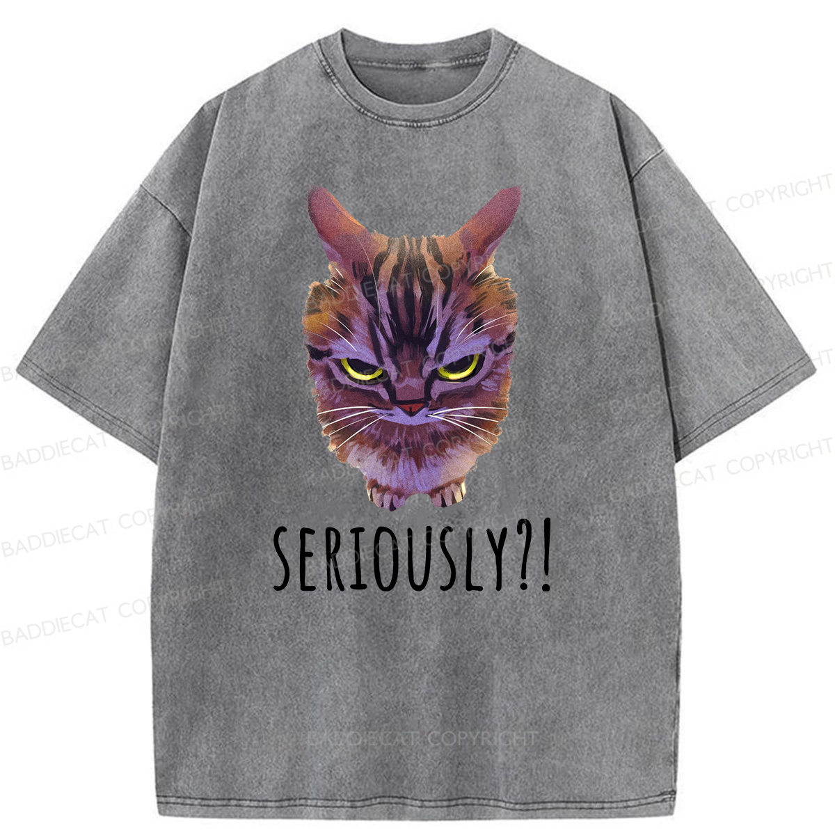 Baddiecat Seriously Funny Cat Meme Washed T-shirt