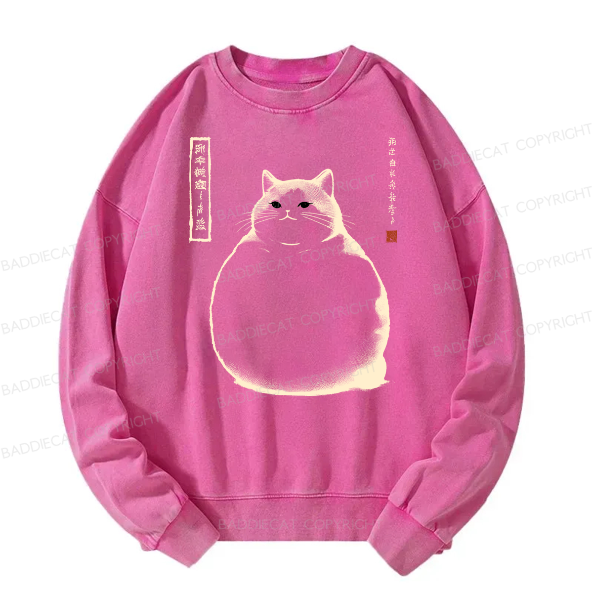Baddiecat Chubby Cat Washed Sweatshirt