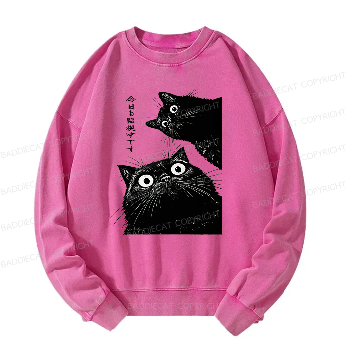 Baddiecat Under Surveillance By Black Cats Today Washed Sweatshirt