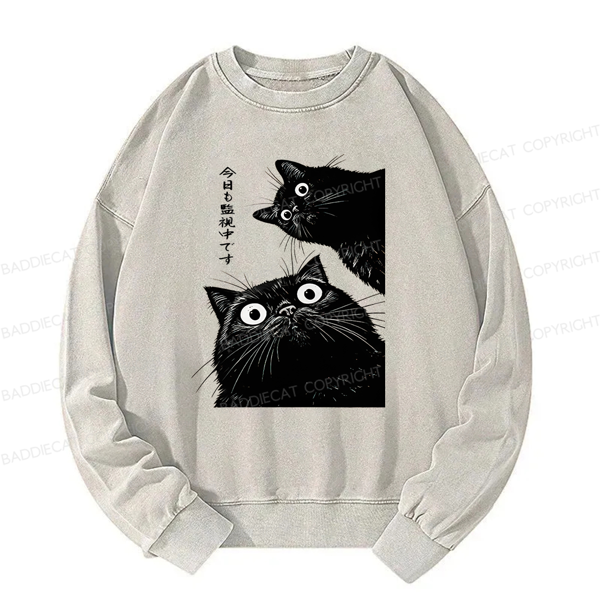 Baddiecat Under Surveillance By Black Cats Today Washed Sweatshirt