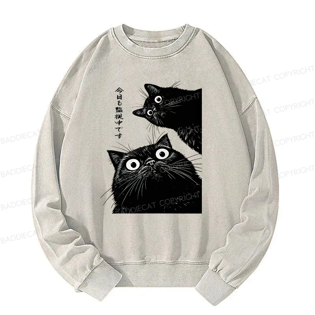 Baddiecat Under Surveillance By Black Cats Today Washed Sweatshirt