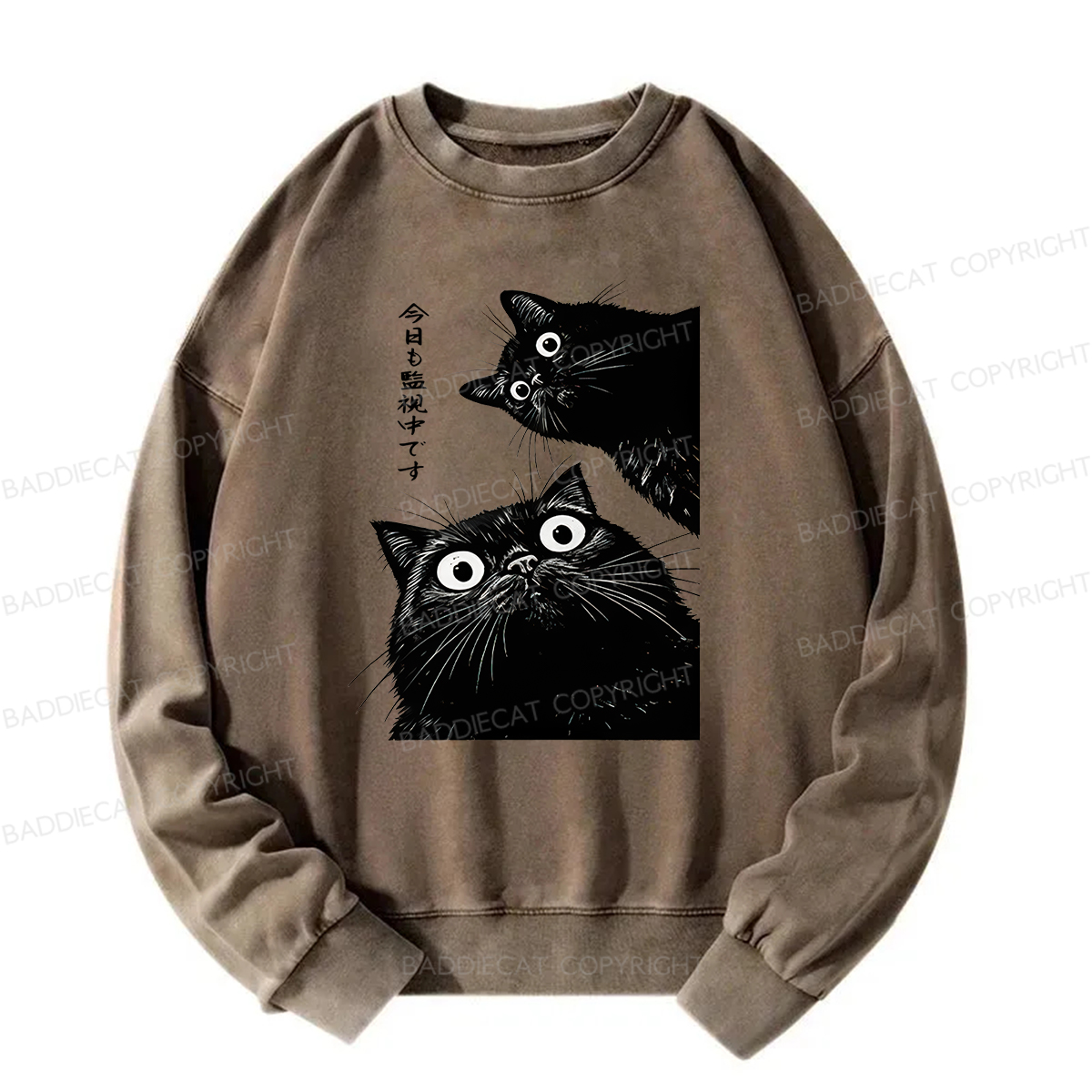 Baddiecat Under Surveillance By Black Cats Today Washed Sweatshirt