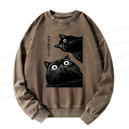 Baddiecat Under Surveillance By Black Cats Today Washed Sweatshirt