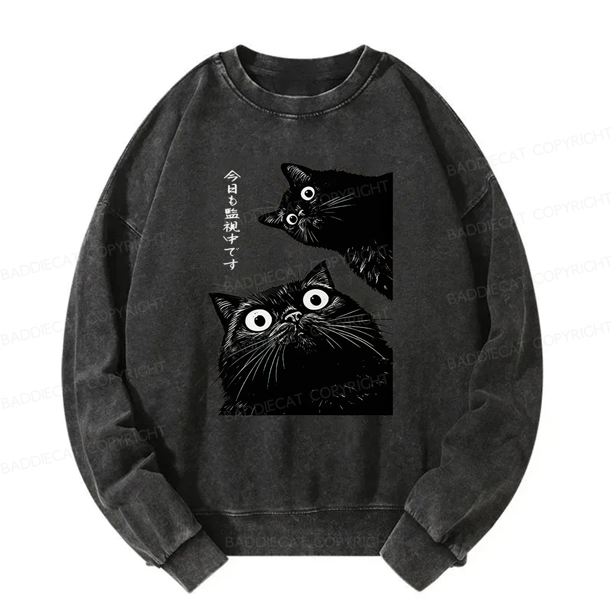 Baddiecat Under Surveillance By Black Cats Today Washed Sweatshirt