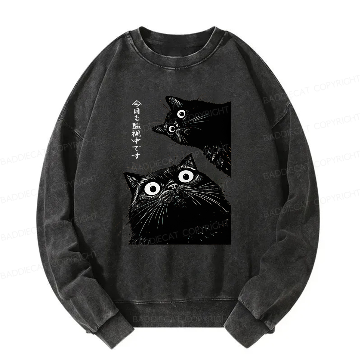 Baddiecat Under Surveillance By Black Cats Today Washed Sweatshirt