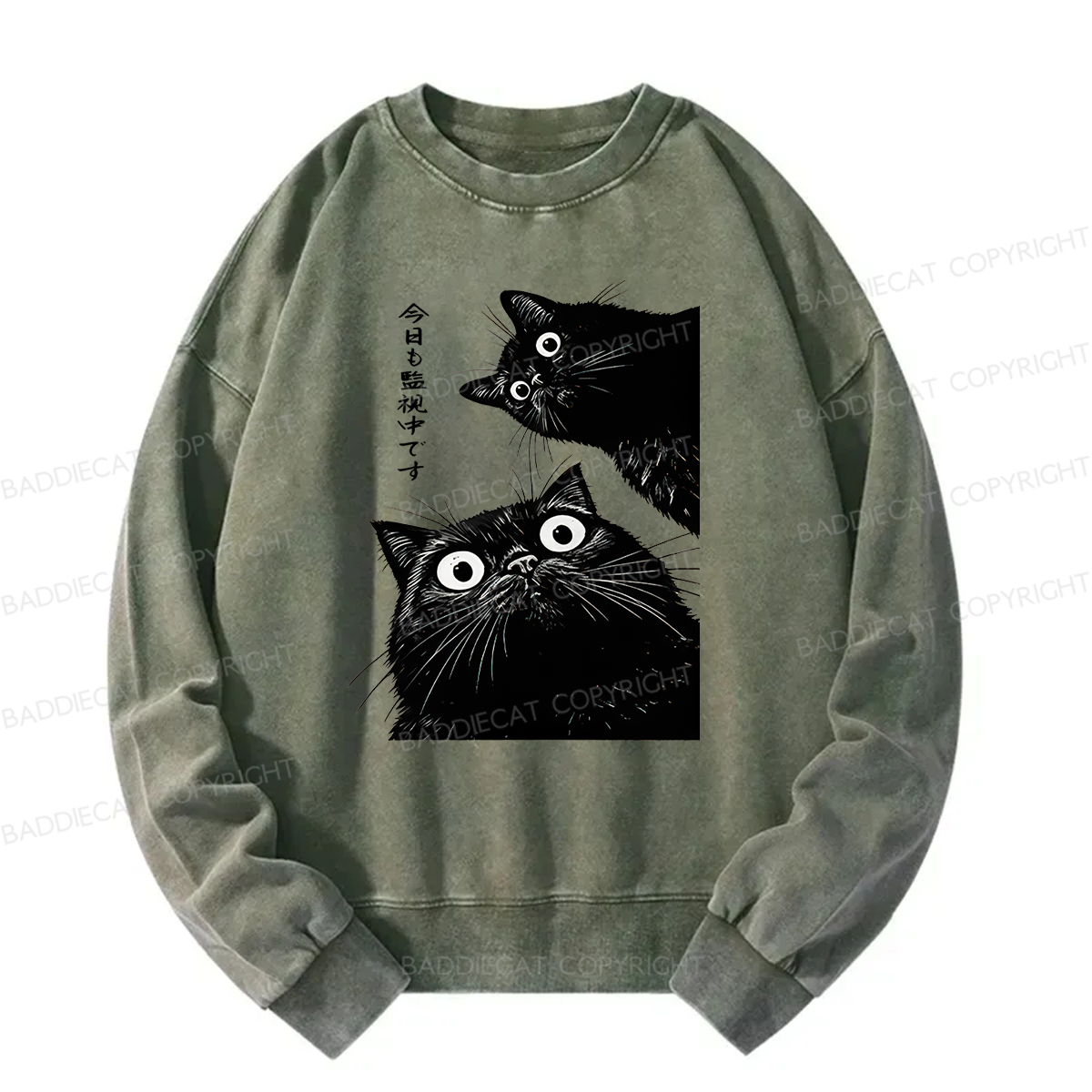 Baddiecat Under Surveillance By Black Cats Today Washed Sweatshirt