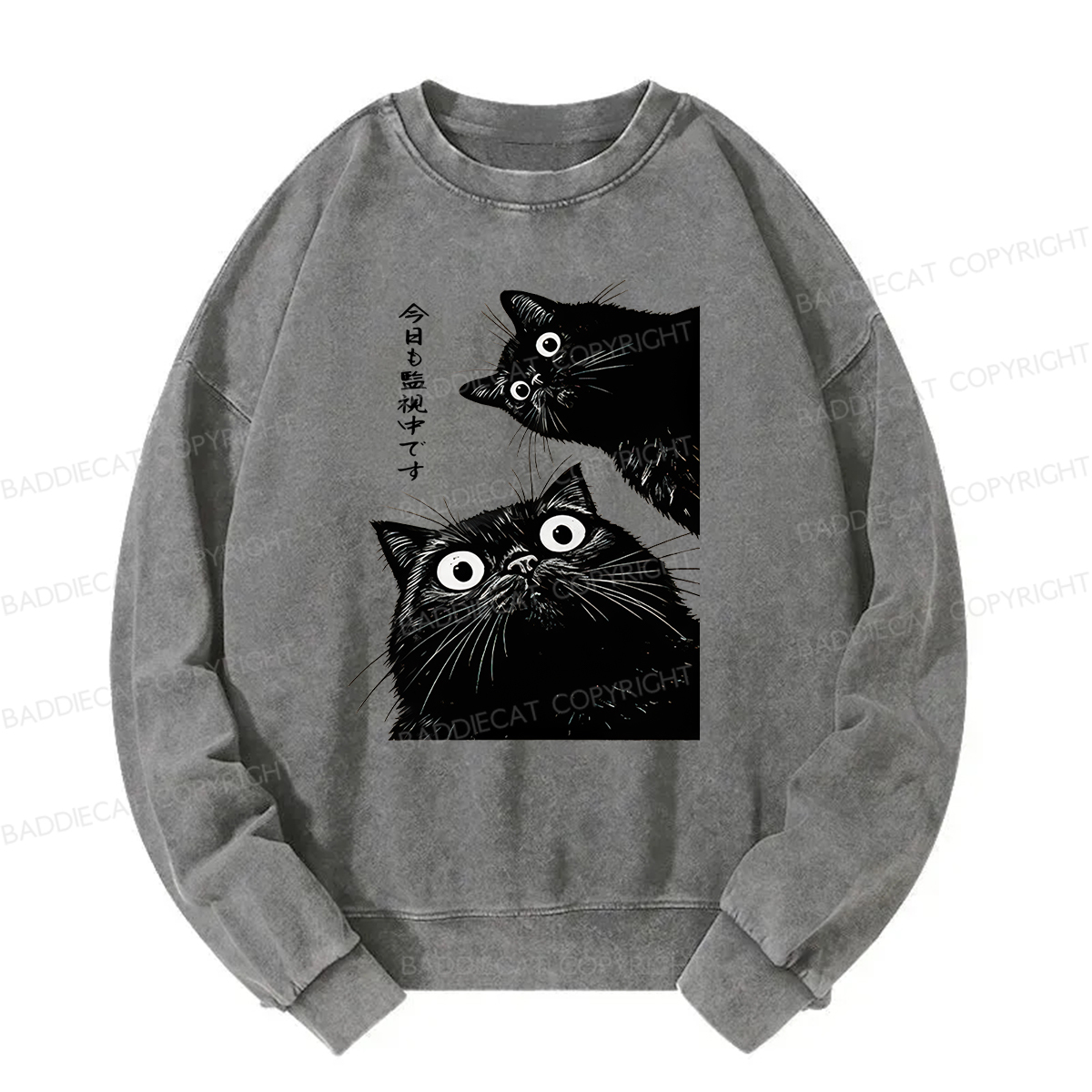 Baddiecat Under Surveillance By Black Cats Today Washed Sweatshirt