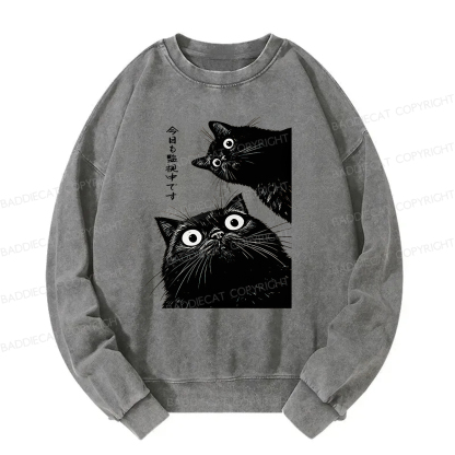 Baddiecat Under Surveillance By Black Cats Today Washed Sweatshirt