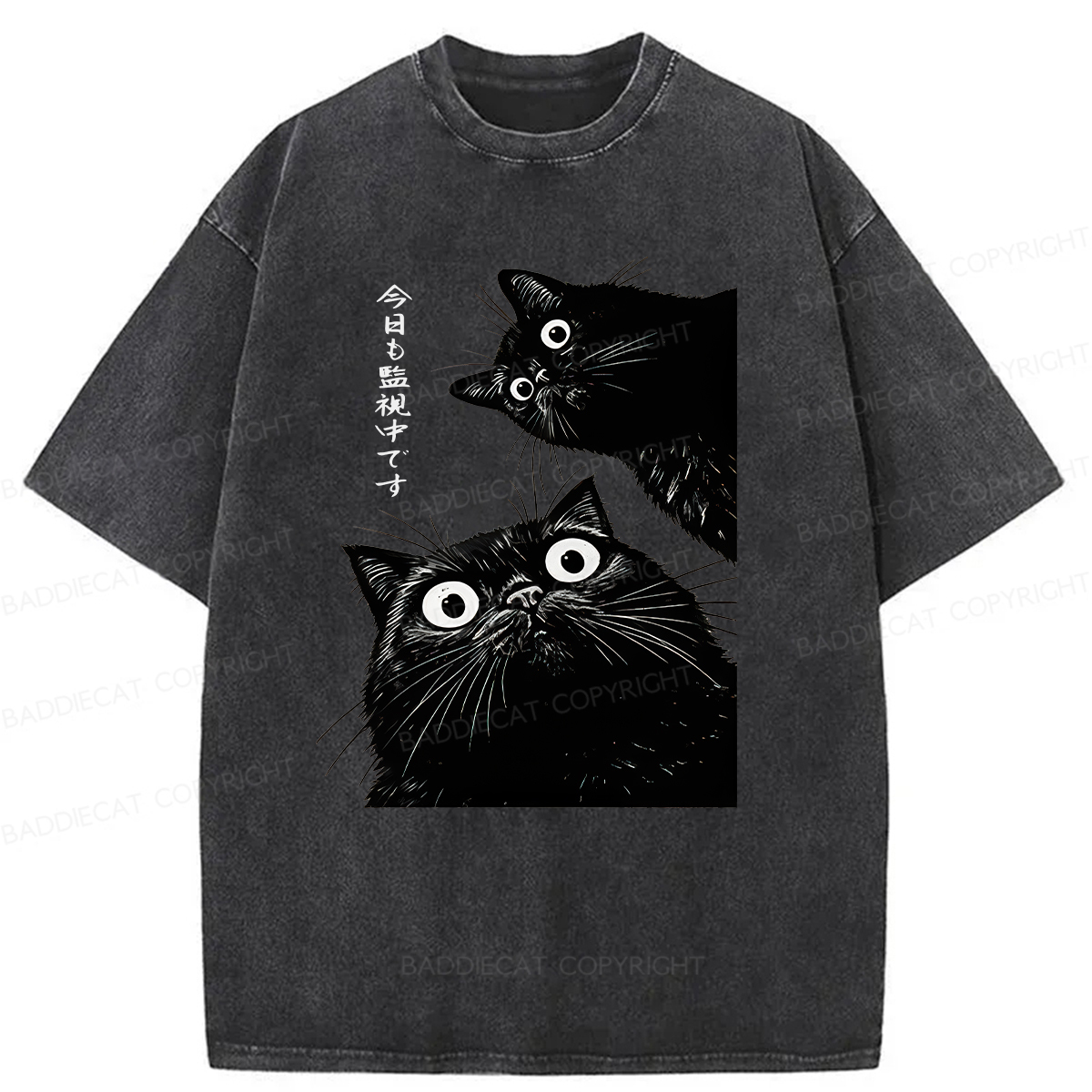 Baddiecat Under Surveillance By Black Cats Today Washed T-shirt