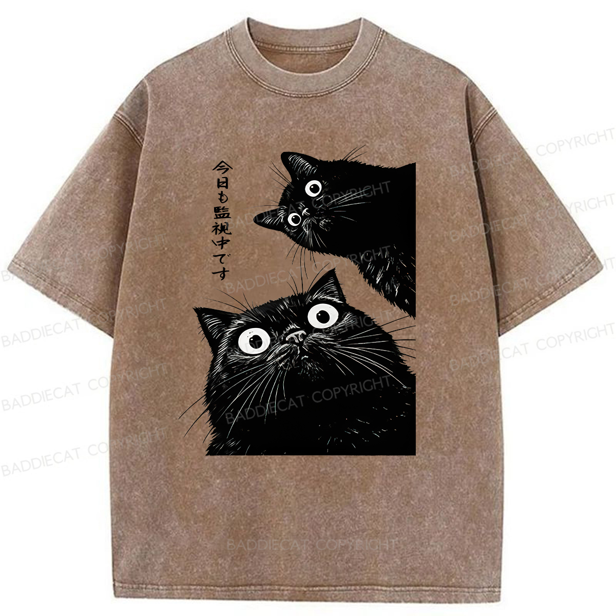 Baddiecat Under Surveillance By Black Cats Today Washed T-shirt